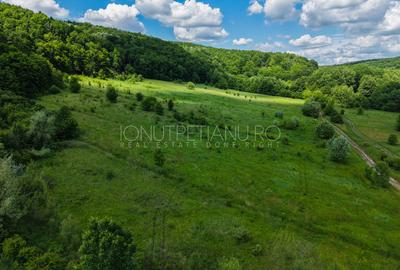 Teren Pasune + Arabil - Valea Mare Podgoria Arges - 9