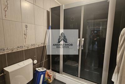 Apartament 2 camere decomandat Splaiul Unirii (Popești-Leordeni) - 13