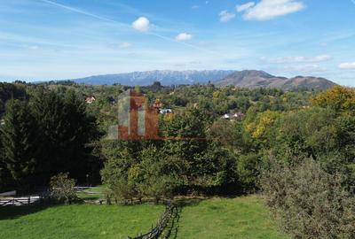 Teren intravilan 1300 mp | Vedere Piatra Craiului | Bran Poarta - 10