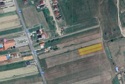 Teren Construcții intravilan de 2500 mp, în Beriu