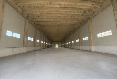 Hală 1.000 mp, CUG - zona Fortus, Curte generoasă, Dublu acces - 6.5€/mp - 3