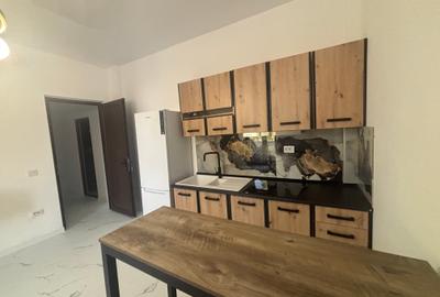 Inchiriere apartament 2 camere cu vedere in Parcul Cismigiu - 7