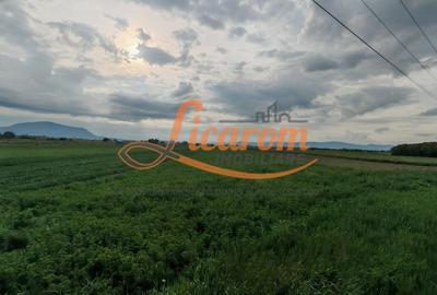 Teren Stupini Calea Feldioarei 4600 mp,21 euro/mp, front asfalt-DN13 - 3