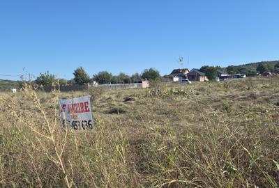 BUCIUM , STR. HOTARULUI , 850 mp intravilan , lac natural aproape, 18000 euro - 3
