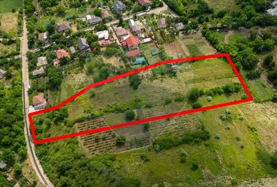 Teren Construcții intravilan de 8841 mp, în Uricani