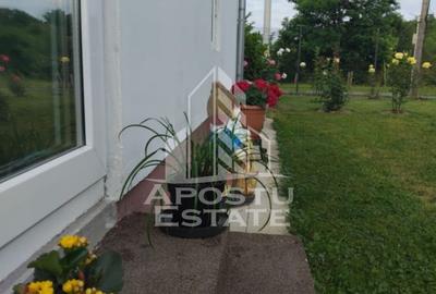 Casa cu teren de 3515mp, in Resita - 7