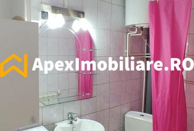 Apartament 2 camere de inchiriat Parcul Carol București | ApexImobiliare.ro - 12