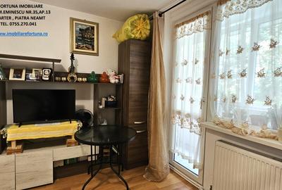 Apartament 2 camere,parter+balcon mare+boxa in proprietate,zona Scoala nr.8 P.Nt - 4
