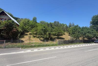 Teren Valea Doftanei, Tesila, utilitati la strada, padure in spate - 4