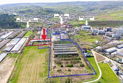 Teren Industrial 4,300mp și Hală 1000mp de Vânzare în Tomesti - Iași - 3