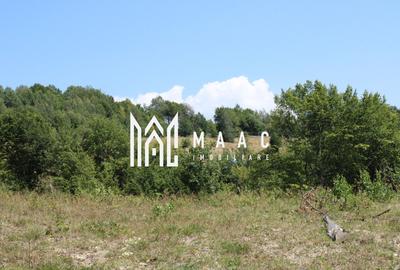 Poiana Sohodol I 5600 MP I Trei corpuri cladiri I Utilitati - 43