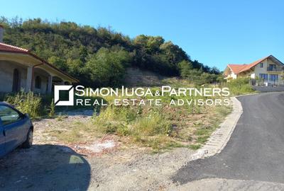 Teren Construcții intravilan de 3256 mp, în Sud-Vest