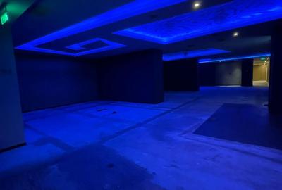 Spațiu Comercial Stradal Premium - 596 mp - Zona 13 Septembrie - 10