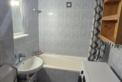 Apartament de vanzare Sos Giurgiului - 10