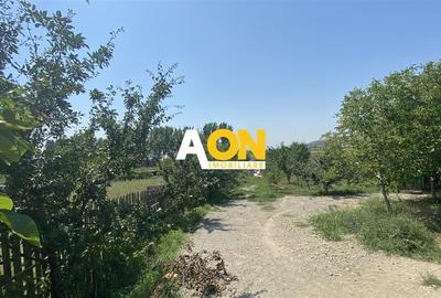 Teren Construcții intravilan de 1200 mp, în Cetate