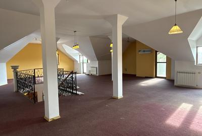 Vila Mogosoaia - 12