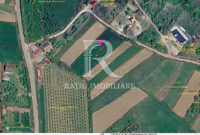 Teren Construcții intravilan de 1770 mp, în Uileacu de Criș