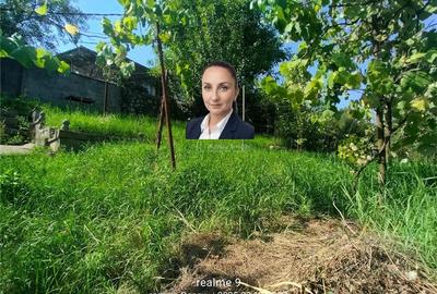 Resita Casa Zona Gradina Zoologica - 1