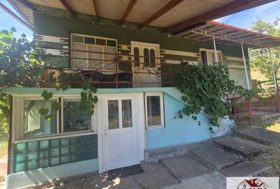Vanzare casa in Almasu Mare - 2
