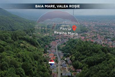 Casa de vanzare completa renovata Valea Rosie La 500 m de Parcul Mare - 9