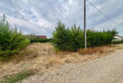 Teren de vanzare in zona Biharia - 4