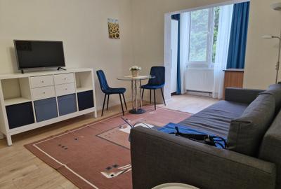 Dambovița-lângă Piața Flavia - 3