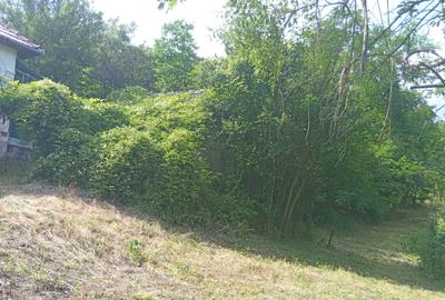 Casă bătrânească plus teren 9515 mp. Sălătrucel sat Serbănesti - 9