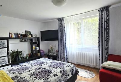 Apartament 1 camera,mobilat,utilat,Precista-zona IPJ/CITY MALLPiatra Neamt - 5
