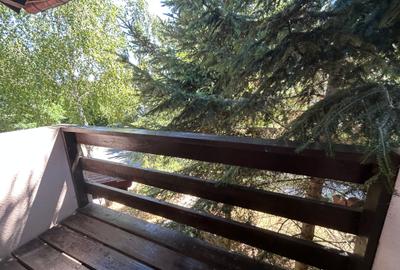 Casa Vermont, cu Padure Privata, Paradisul Verde, teren 1800mp, gradina matura - 7