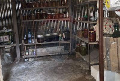 Domeniu rural, gospodarie/multifunctionala cu casa, livada, vie - 6