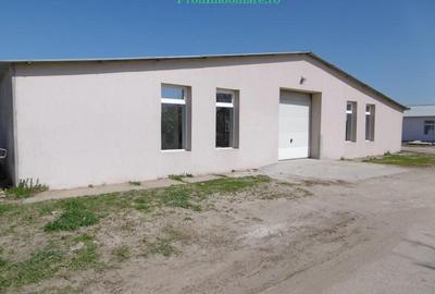 Hale de inchiriat intre 100-1000 mp in Arad - 12