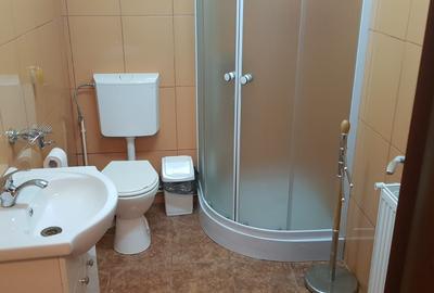 Vanzare Cabana Moroeni- Galma Dambovita - 8