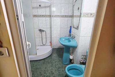Vanzare apartament 2 camere decomandat, Malu Rosu, parter inalt - 14