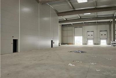 Spatiu Industrial - 5300 mp - Productie - Depozitare - Logistica - Distributie - 12