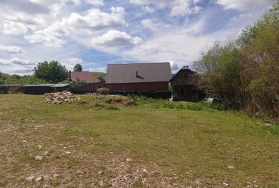 Vind teten intravilan in  Margau - 3