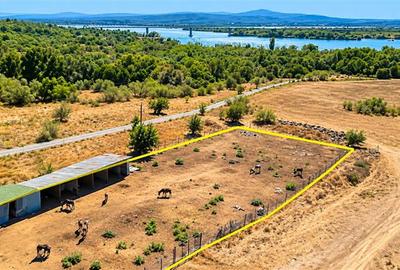 Moldova Noua | Teren 3.300 MP + Afacere | ZERO COMISION - 3