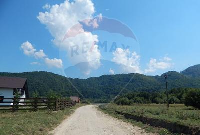 Teren Rasnov - Glajerie, 1225mp, teren drept, acces usor - 10