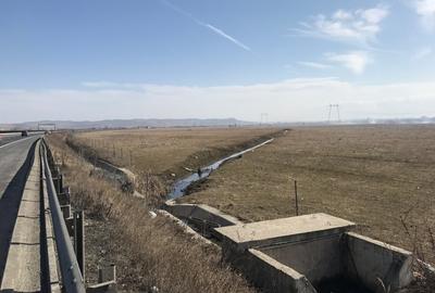 Teren de vanzare 20.000 mp pretabil benzinarie centura, direct de la proprietar! - 12