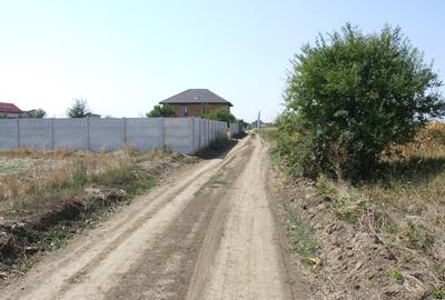 Domnesti-Teghes, teren 9.817 mp strada Pinului - 1