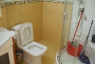 ,3 cam in vila,2 intrari,parter,PARCARE 2 -3 AUTOTURISME, - 7