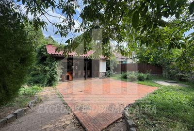 Casa individuala | Piscina | 250 mp | 1759 mp teren | Micesti - 12