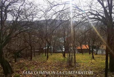 STIRBEI - VODA, CASA CU TEREN 2000 MP - 12