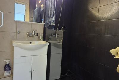 Garsonieră decomandată, Bloc Mixt | Mall Vitan - 10