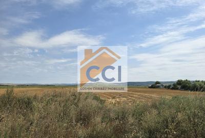 Teren intravilan– 50.000 mp, Bacău, Șoseaua Hol - 7