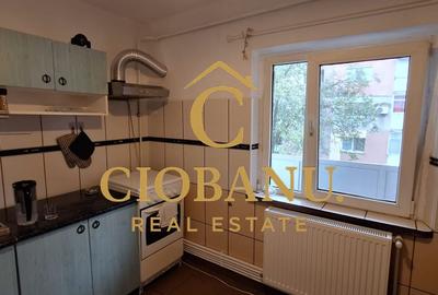 Apartament 3 camere DECOMANDAT etaj 2/4 de vanzare zona Lapus Arges - 5