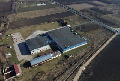 Spațiu industrial, de 6,227.00 mp, în Homorog
