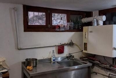 Vila rezidentiala/ de vacanta/investitie/ Cornu de Jos - 10