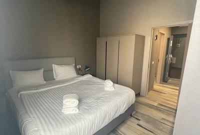 Apartament 2 camere /Stil Loft -Industrial/ Zona Balta Verde - 5