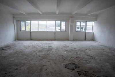 Hală industrială P+E de vânzare în Toplița – 628 mp construiți, structură beton - 2