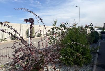Casă cochetă în Corbeanca ** Natură, lac și facilități aproape - 14